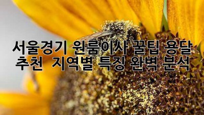 서울/경기 원룸이사 꿀팁🍯: 용달 추천 & 지역별 특징 완벽 분석!
