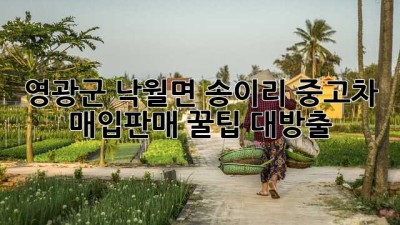 ✨영광군 낙월면 송이리 중고차 매입/판매, 꿀팁 대방출!🚗