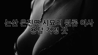 논산 은진면 시묘리 원룸 이사 용달, 걱정 끗!