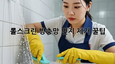 롤스크린 방충망, 먼지 제거 꿀팁! ✨