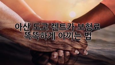 아산 도고 렌트카 보험료, 똑똑하게 아끼는 법! 🚗💨
